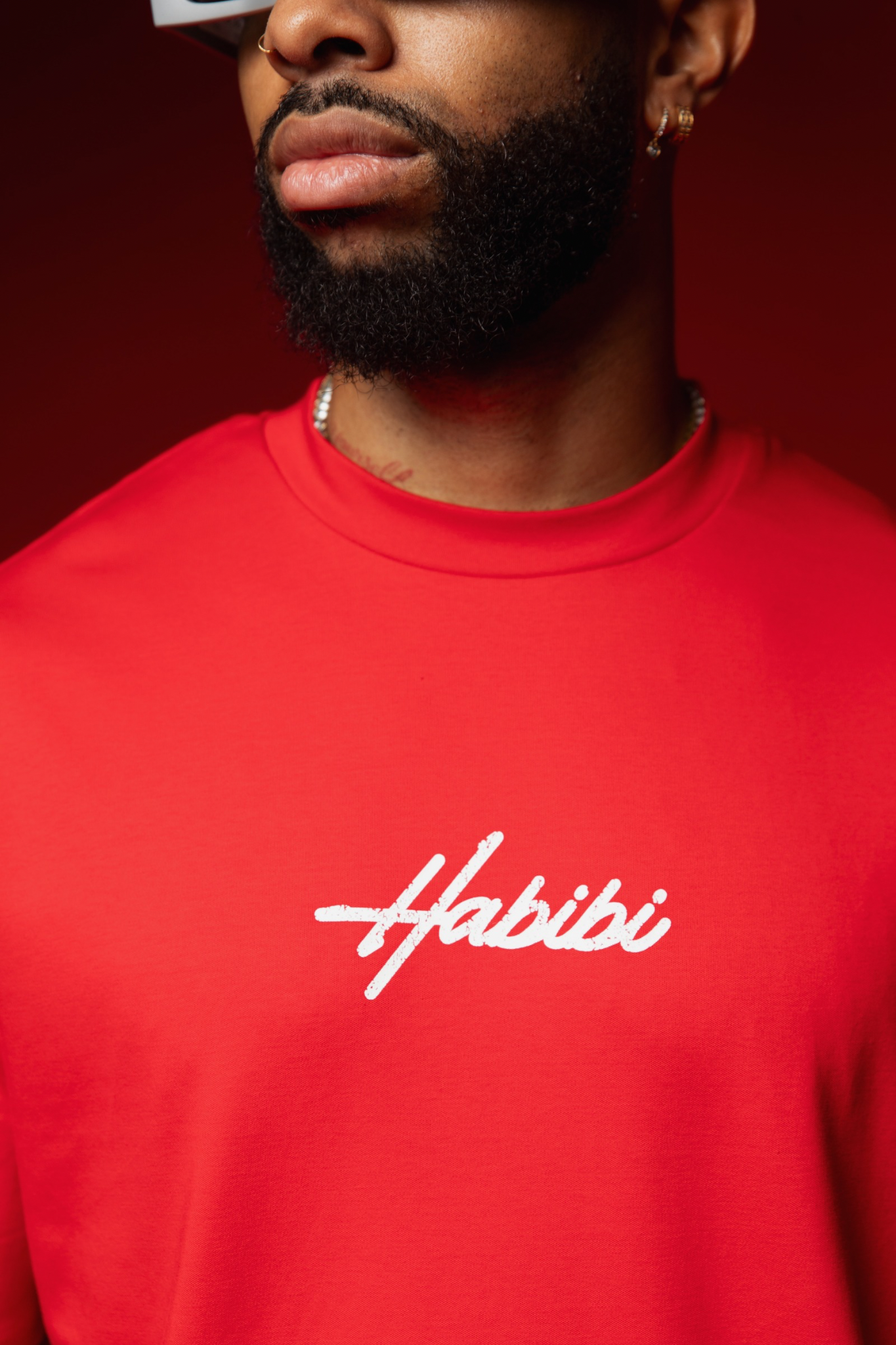 habibi little logo