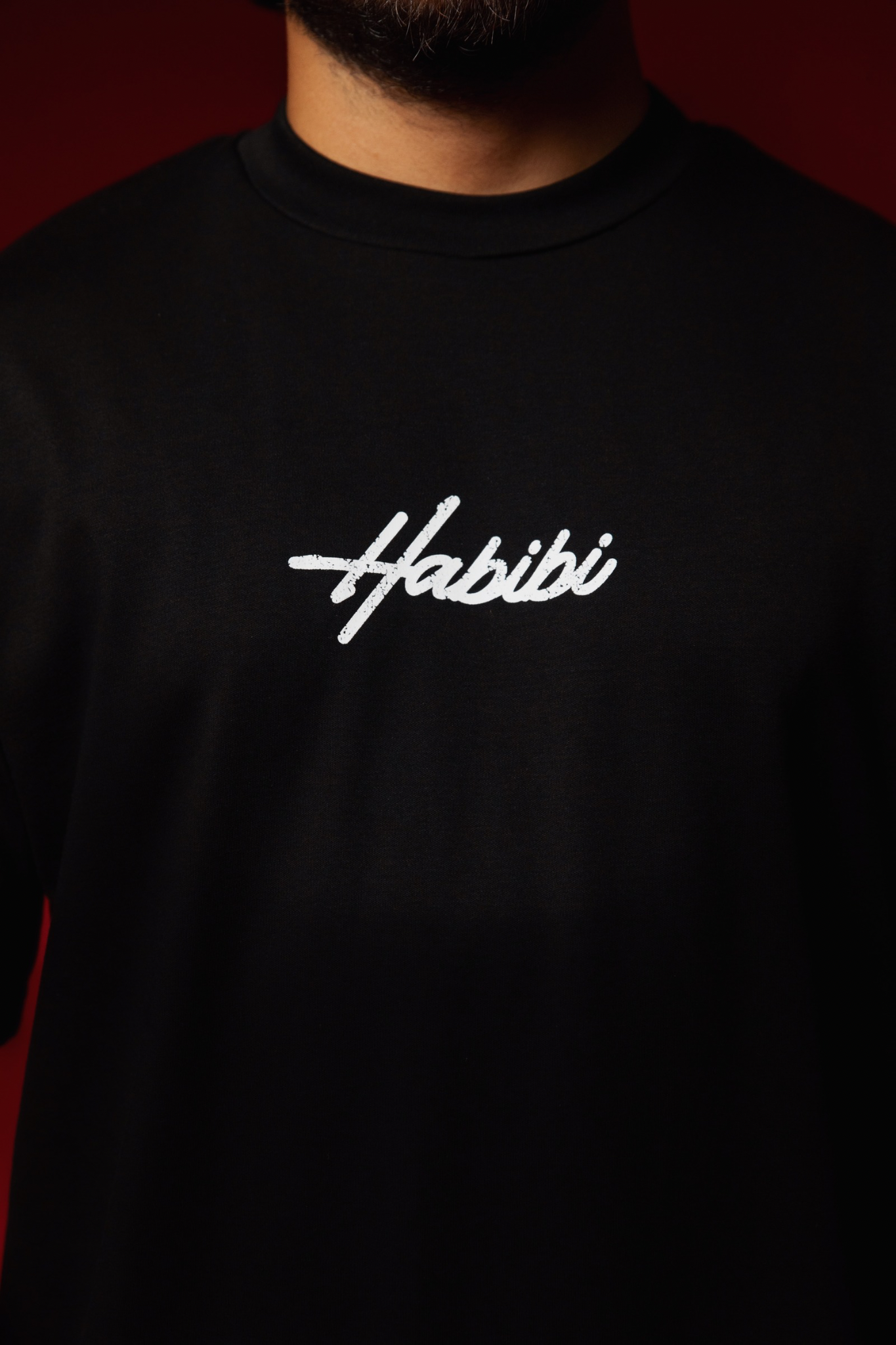 habibi little logo